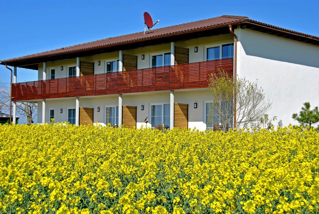 Gasthaus Amboss Hotel Ravensburg Eksteriør billede